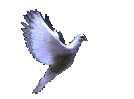 Christ2